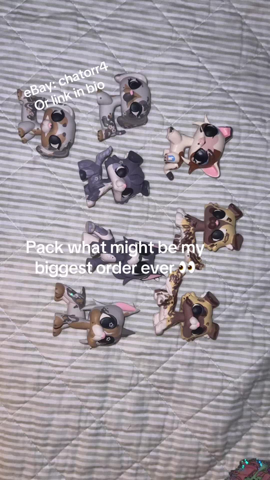@Lpsplanet🪐