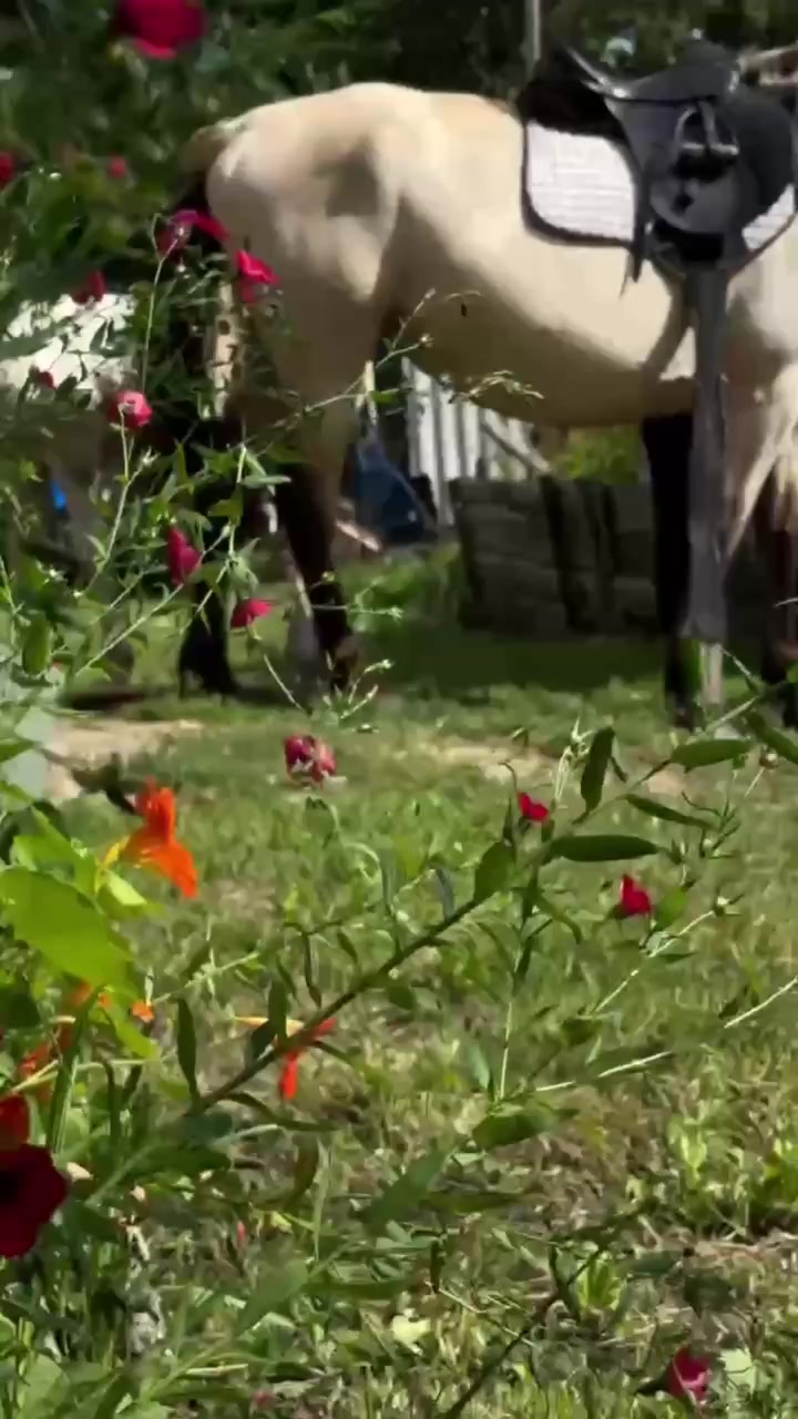 @Катерина Германюк