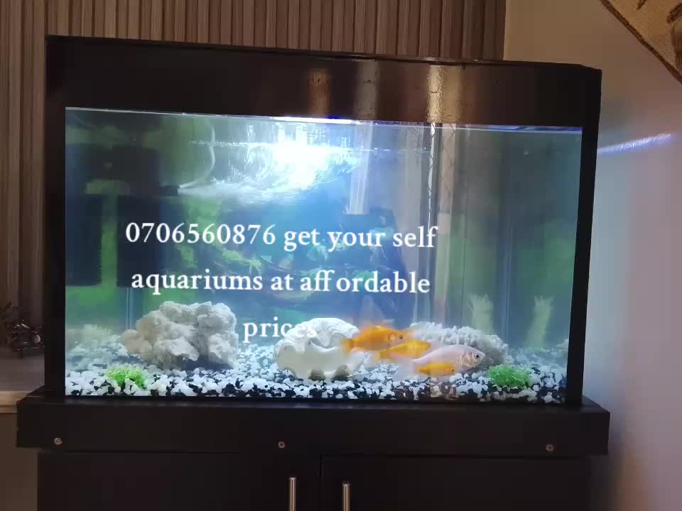 @BALO'S AQUARIUMS