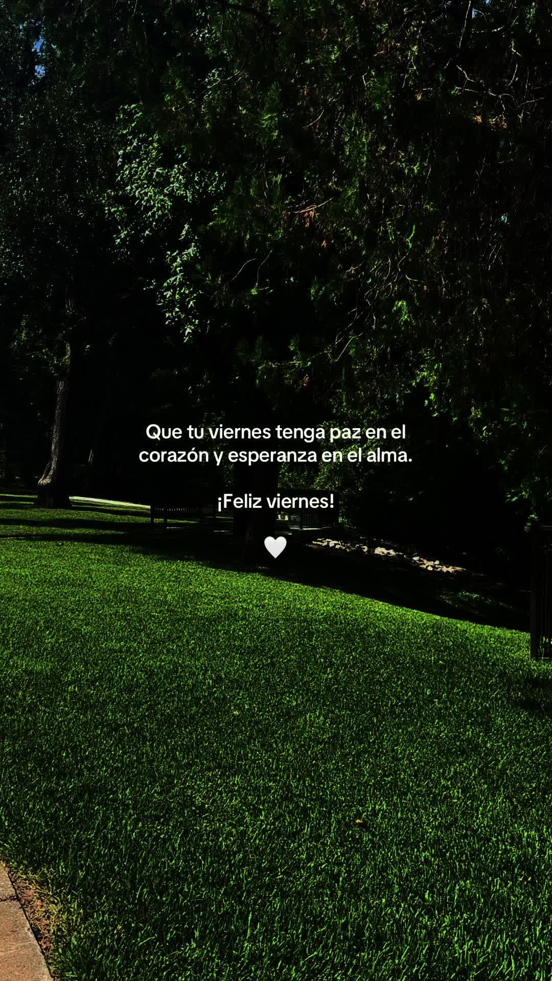 @thaniaSayegh💫frases