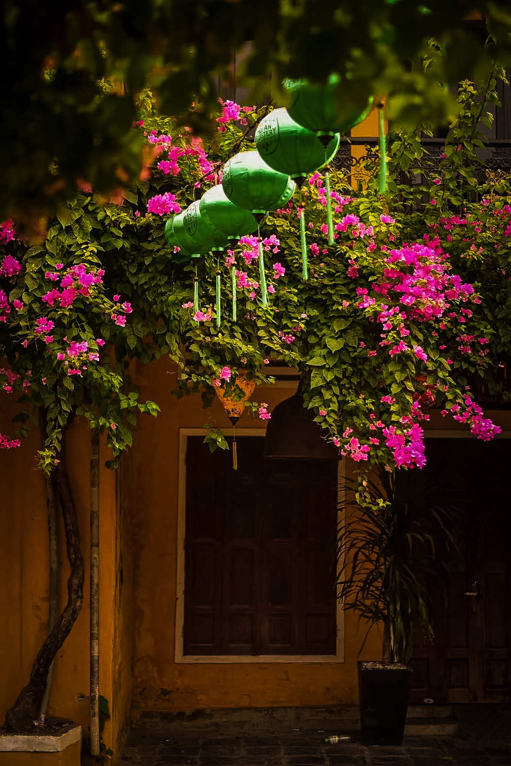 @𝑻𝒂̂𝒏 𝑻𝒉𝒊
