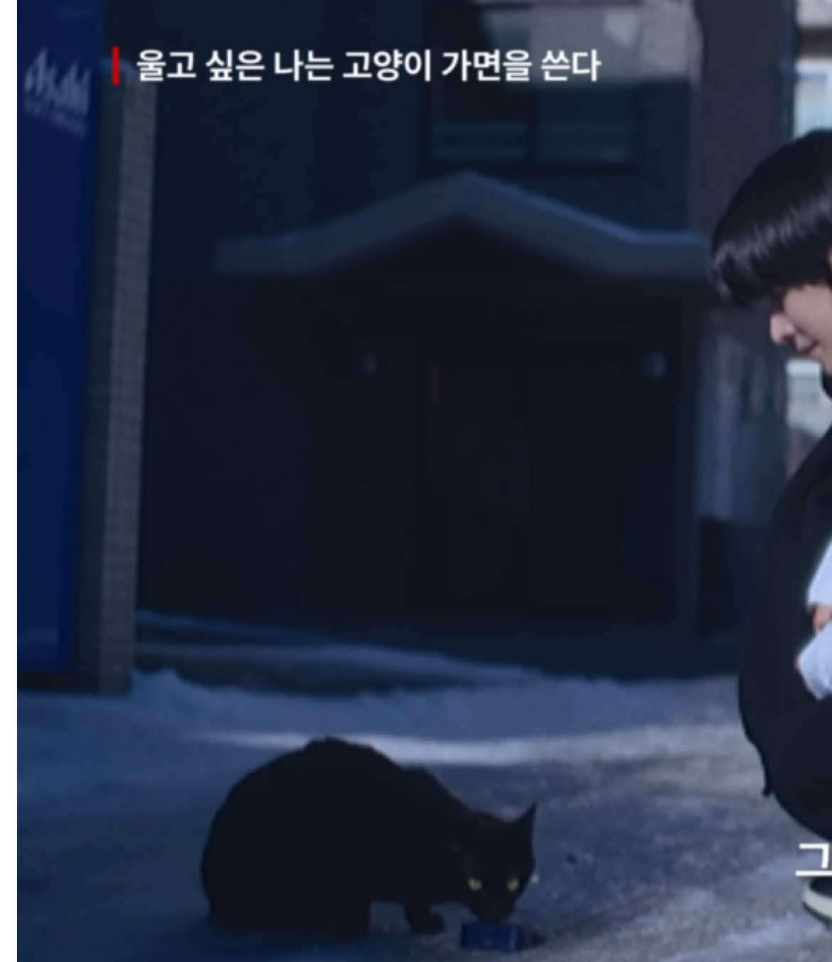 @︎︎