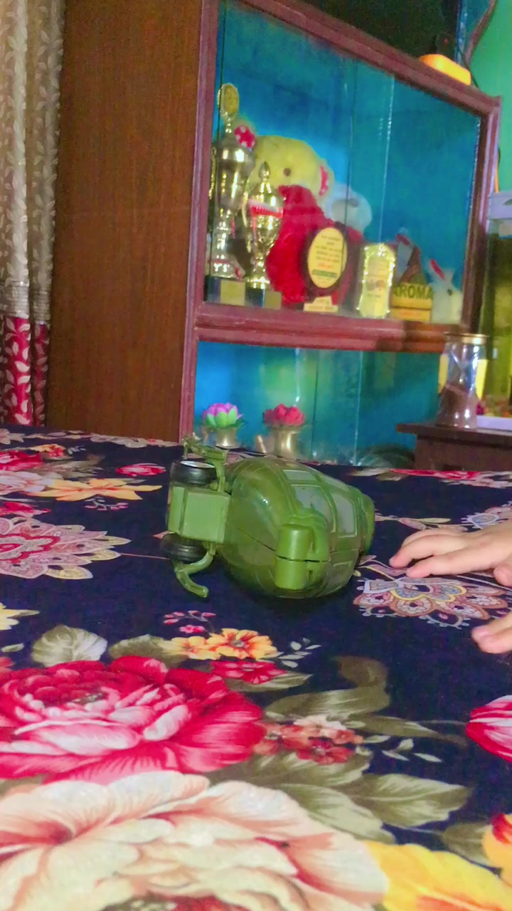 @Tulasa Sapkota