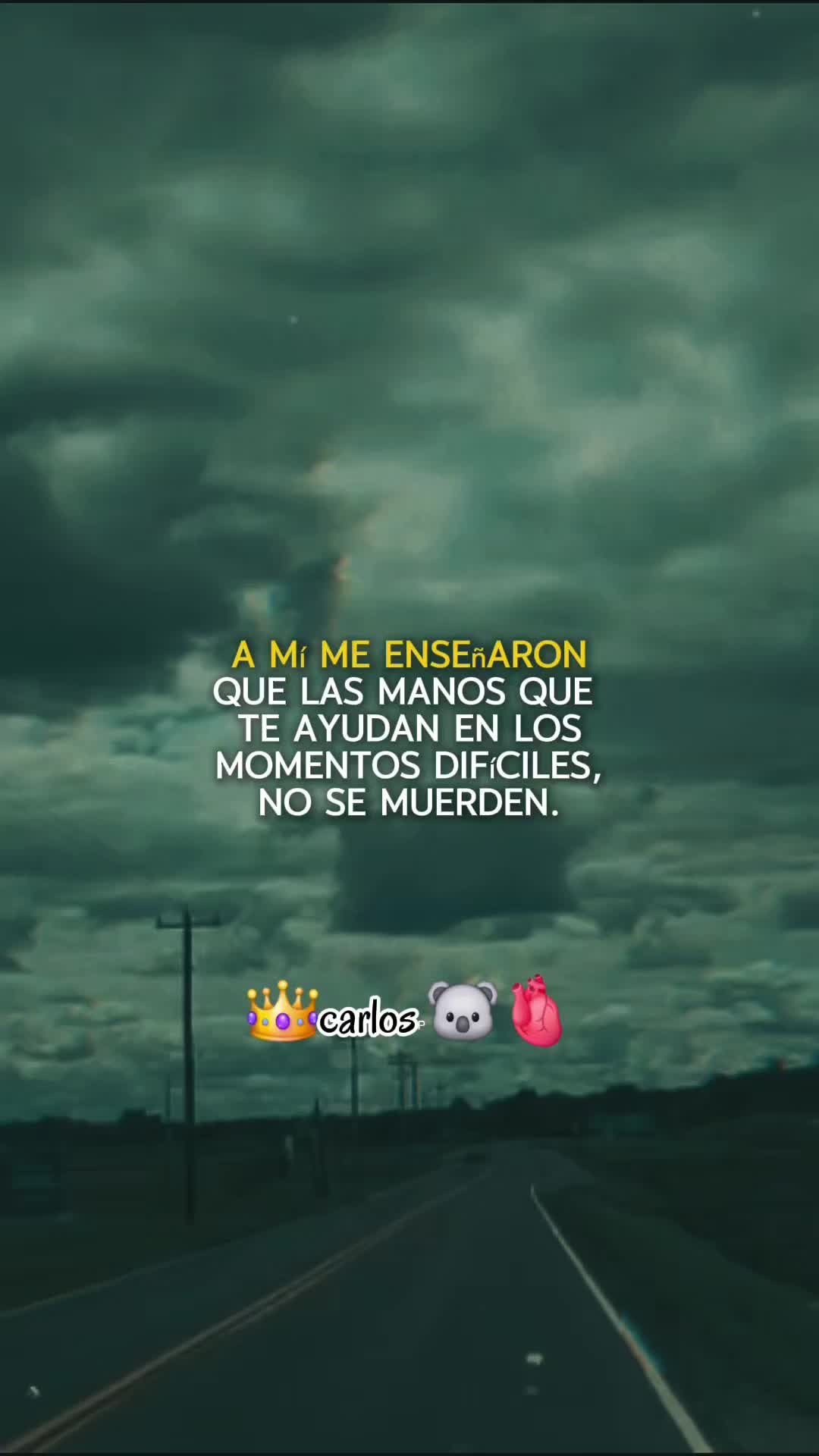 @Carlos🐨