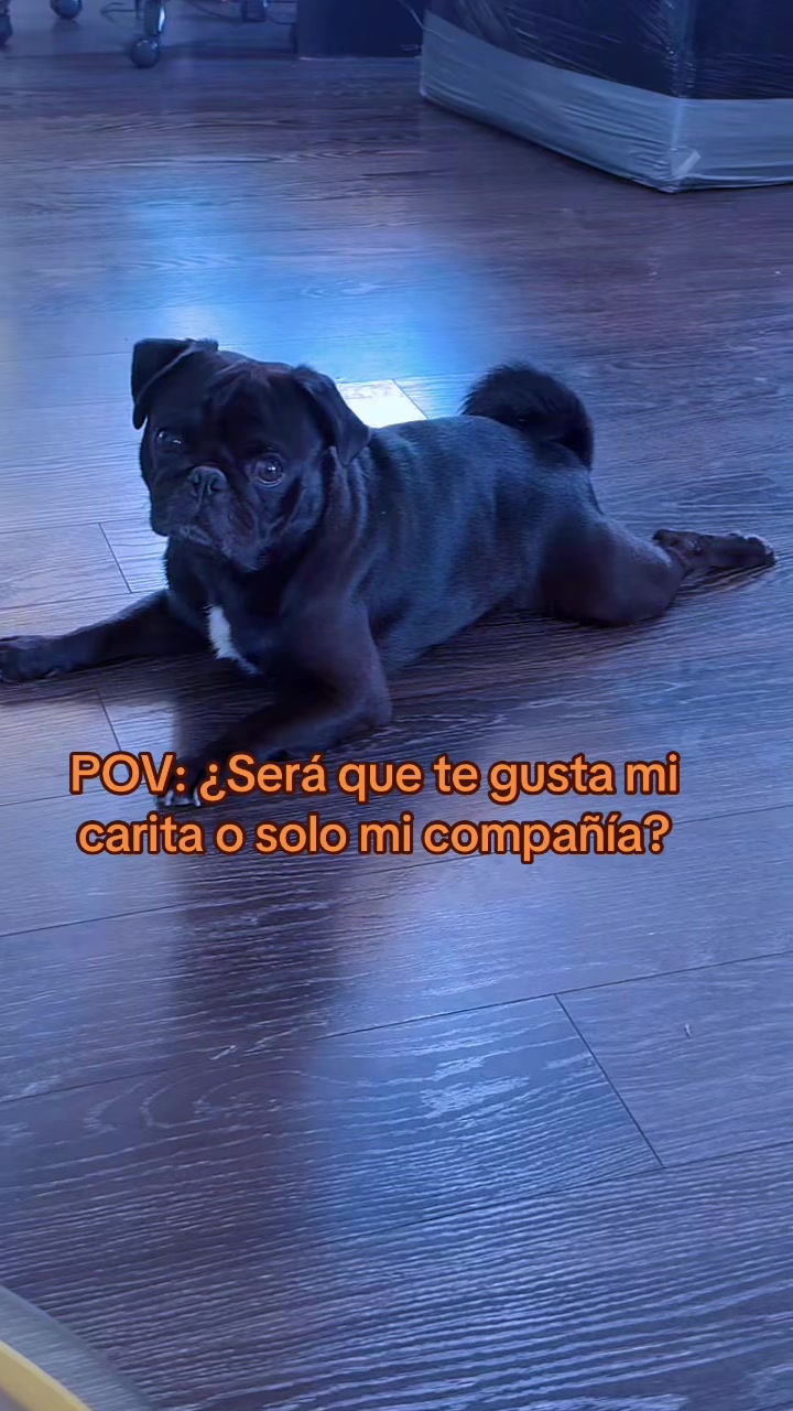 @Alba G