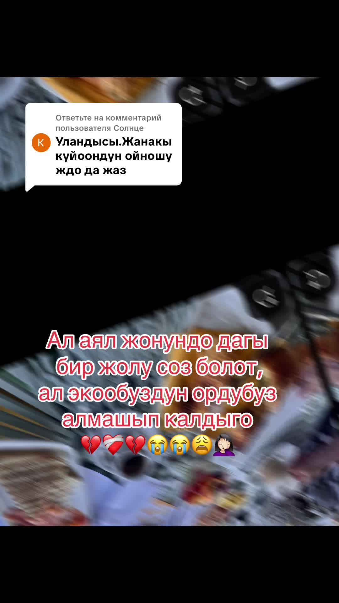 @мамочка многодетная_США