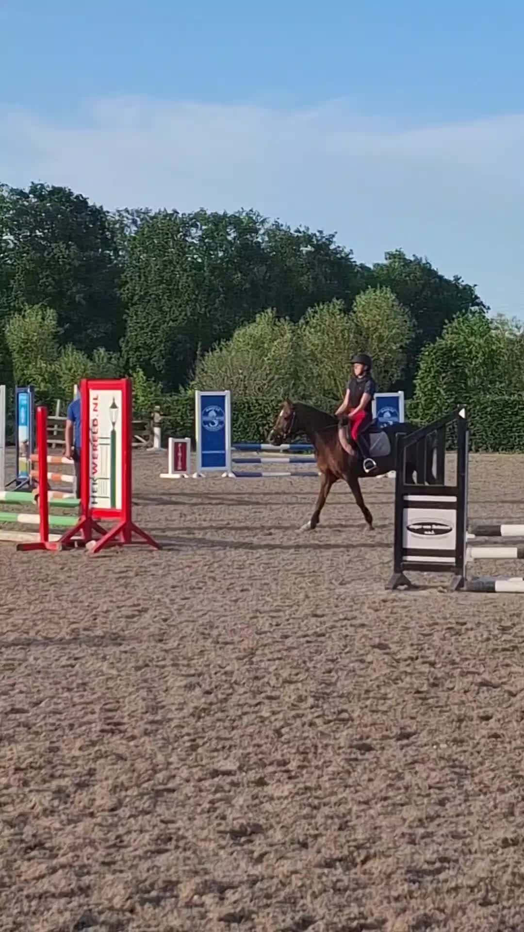 @horses.by.Britt:)