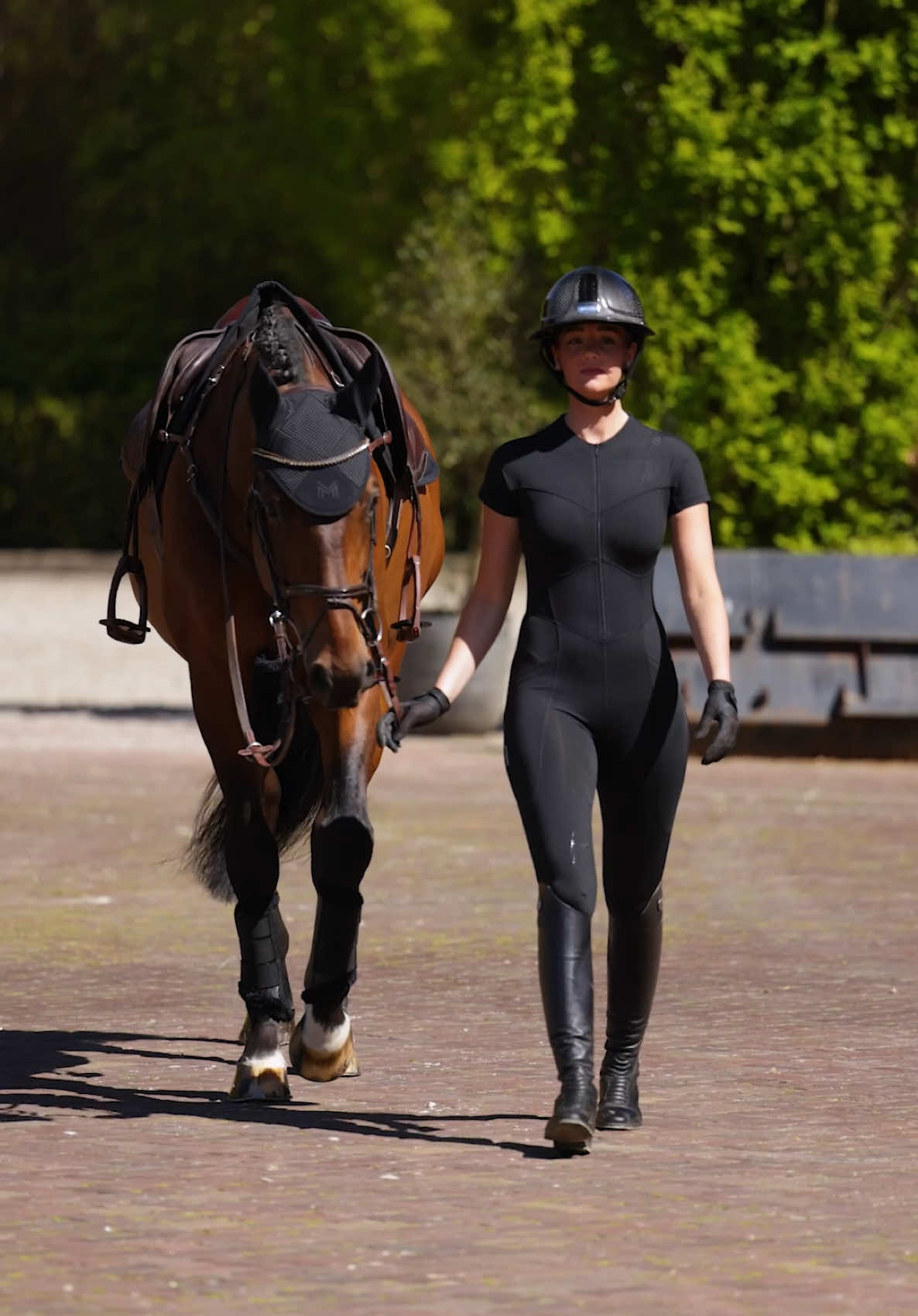 @Maximilian Equestrian