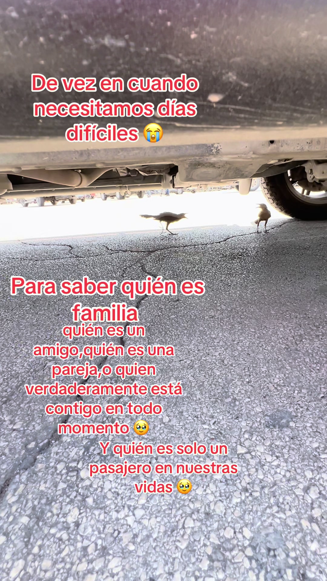 @user4542686656628
