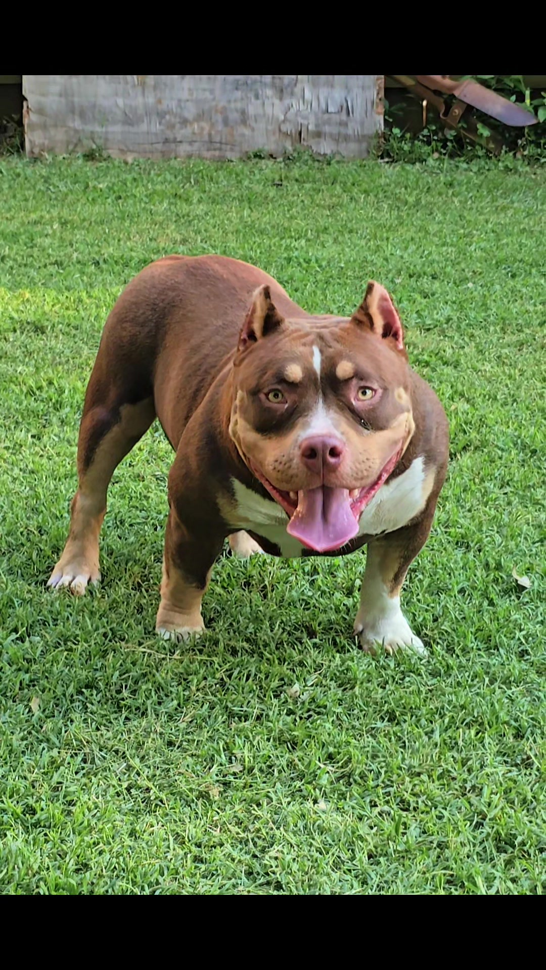@EClassBullys
