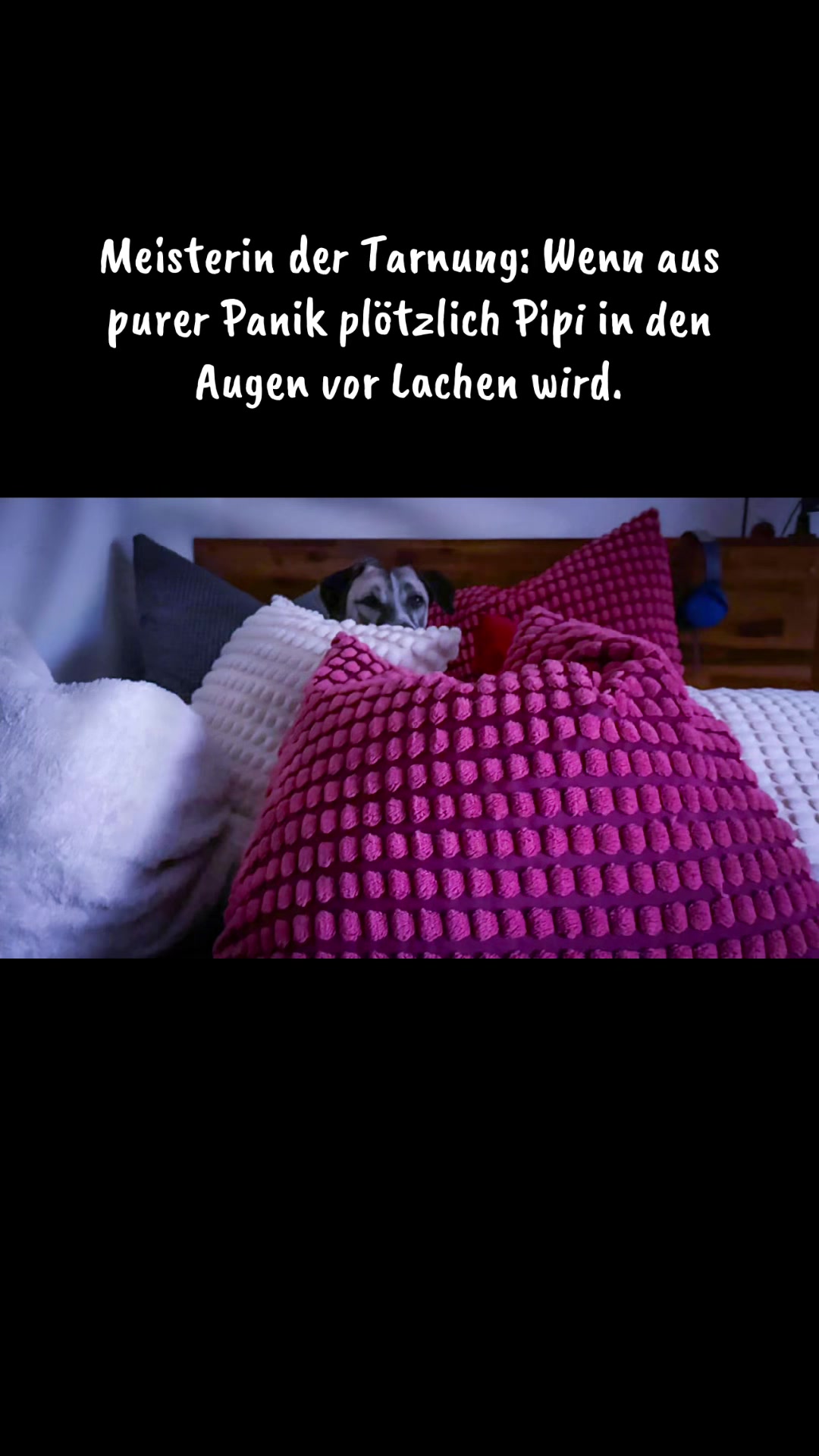 @JaNa_x