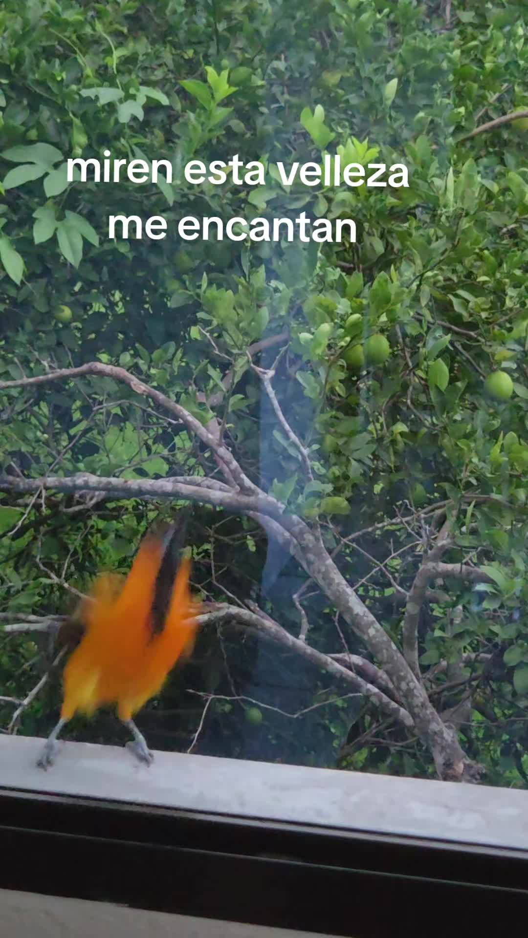 @FINCA TU CASA
