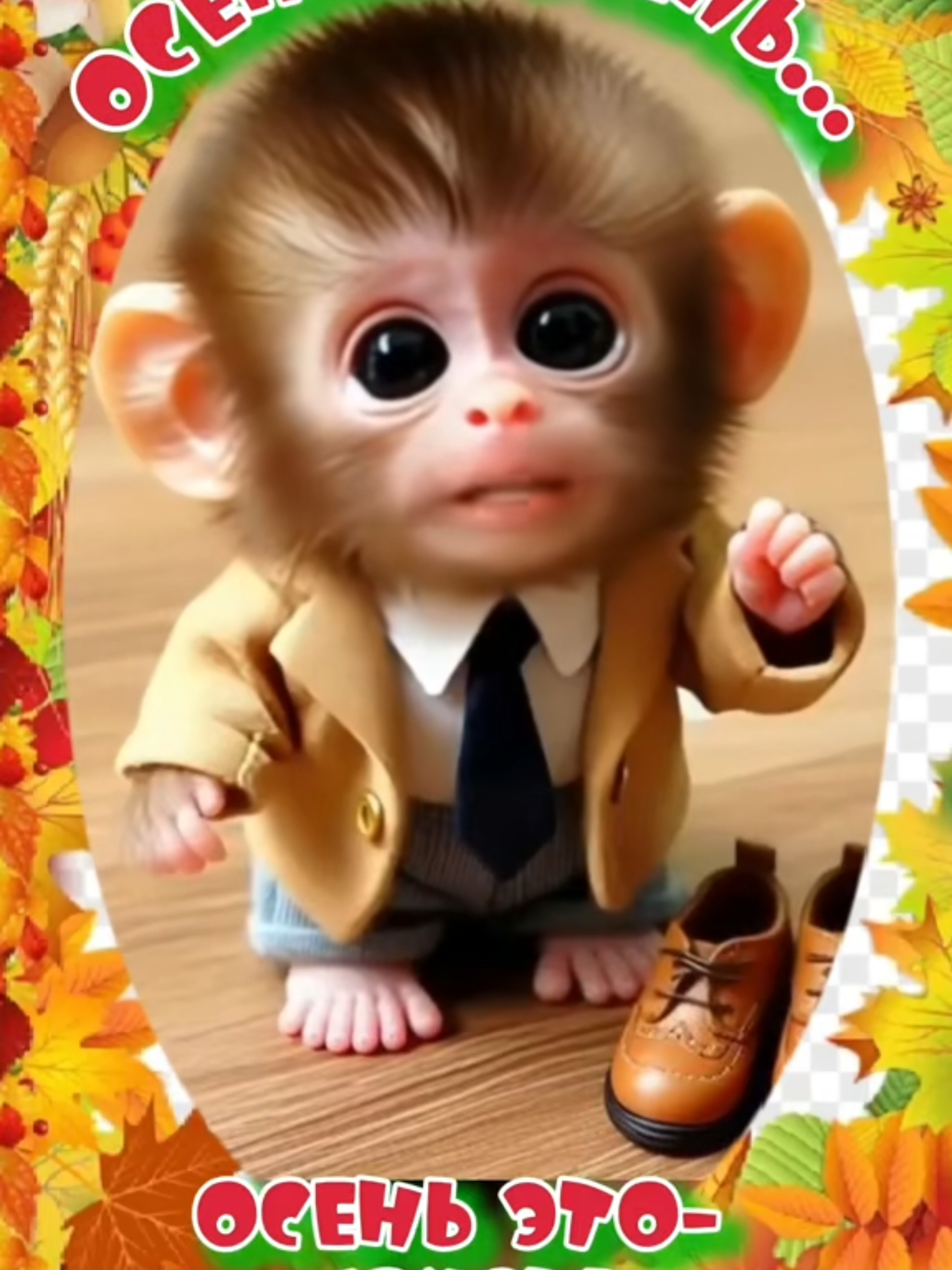 @Видеооткрытки