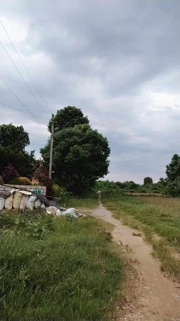 @Manju Thapa