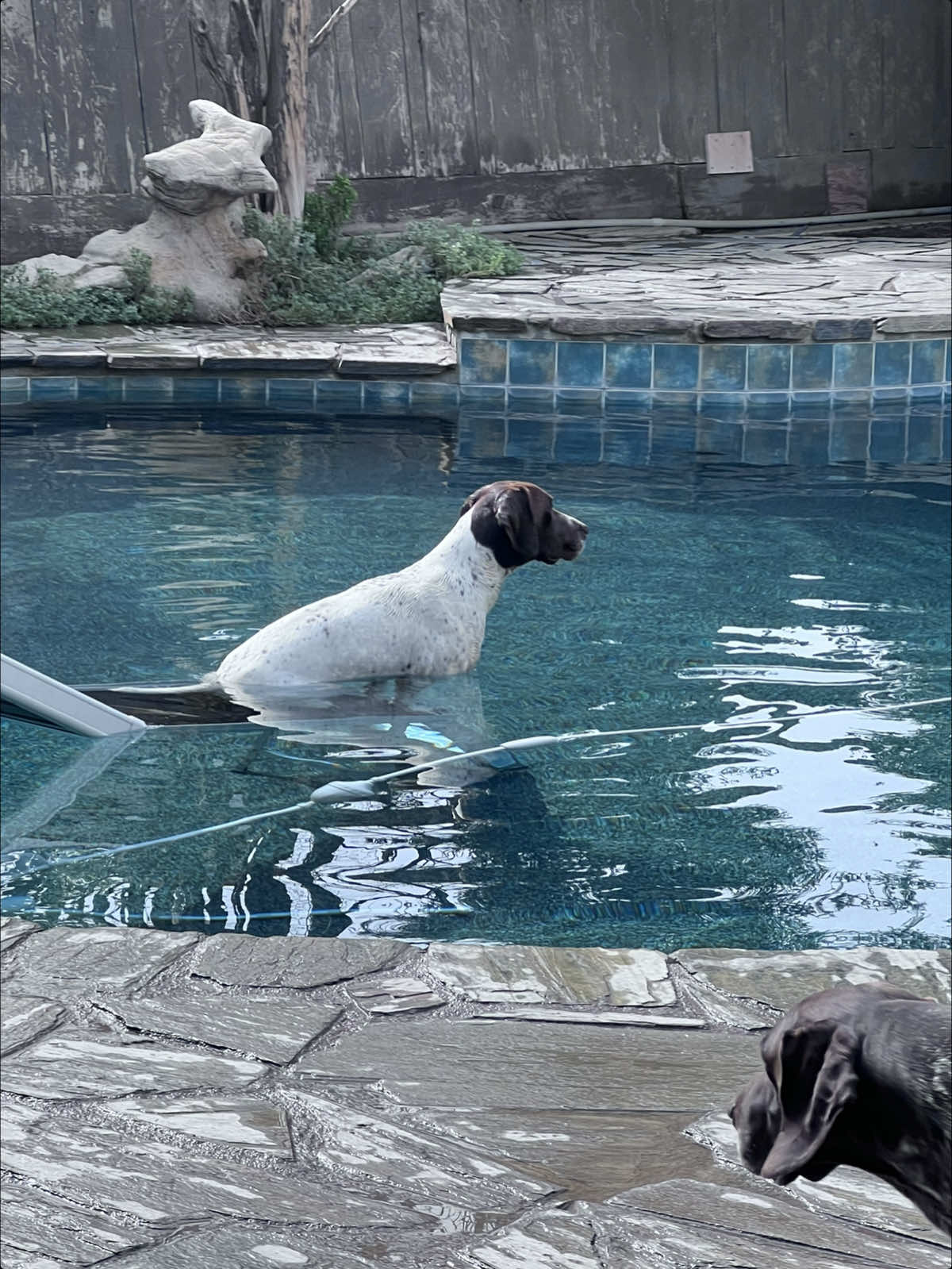 @alice_the_gsp