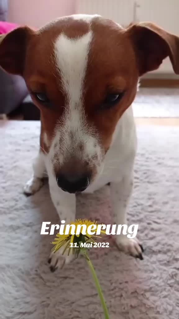 @Manu