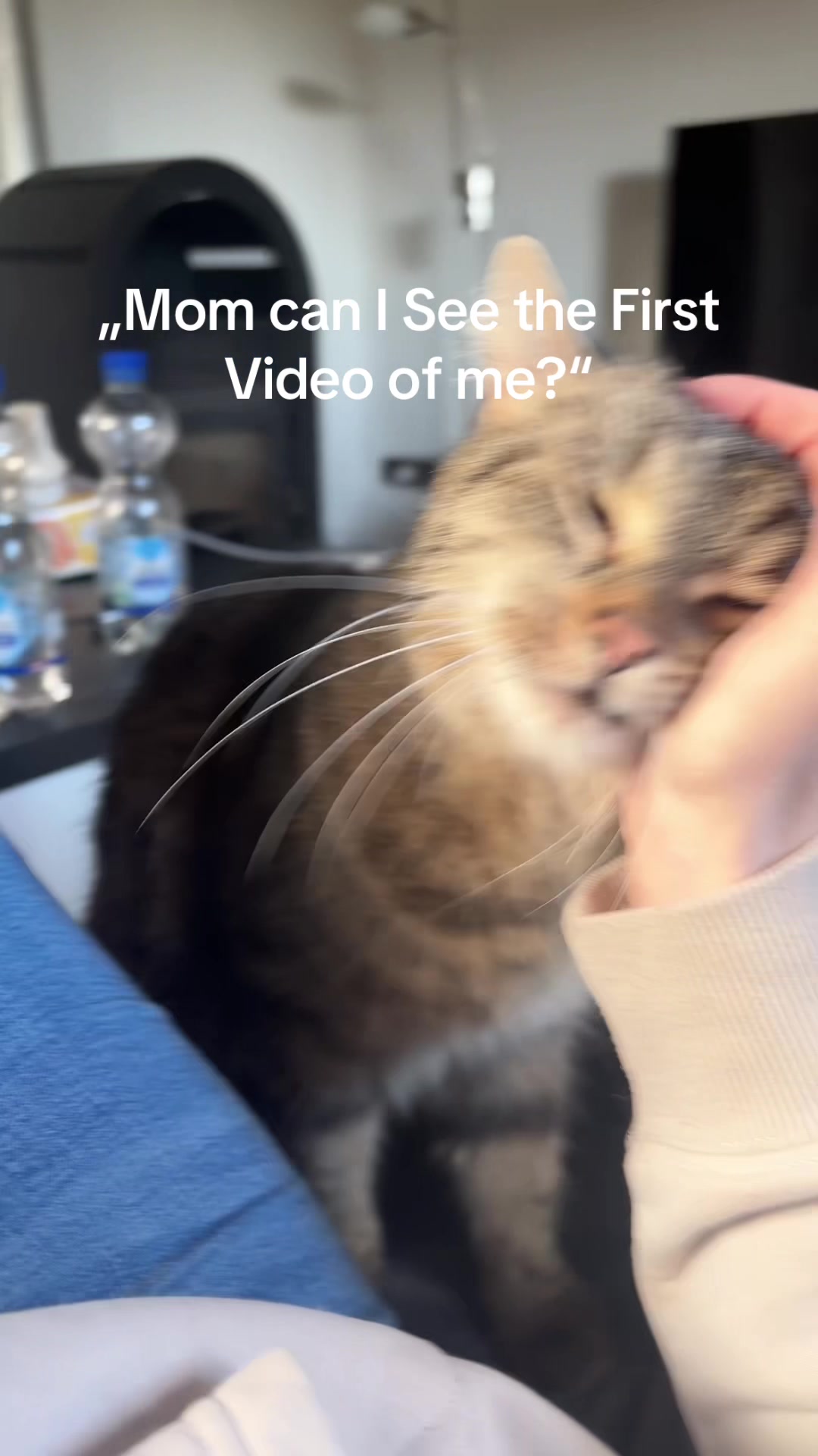 @MissHipsterWhale
