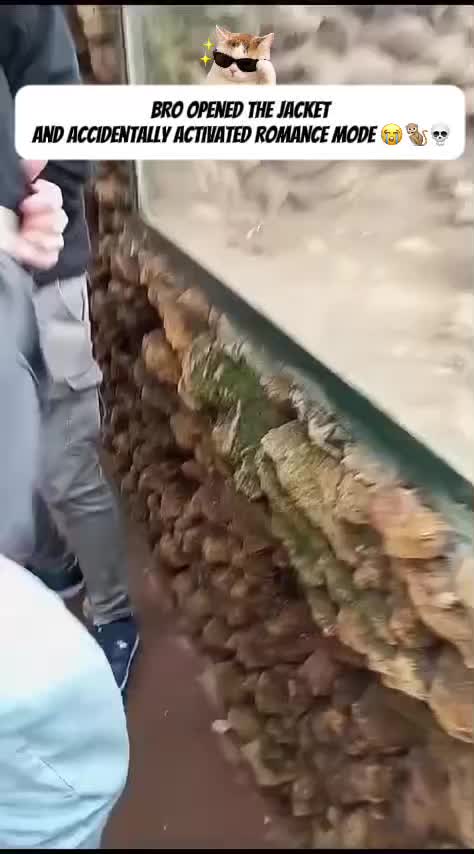 @VEILCLIPZ