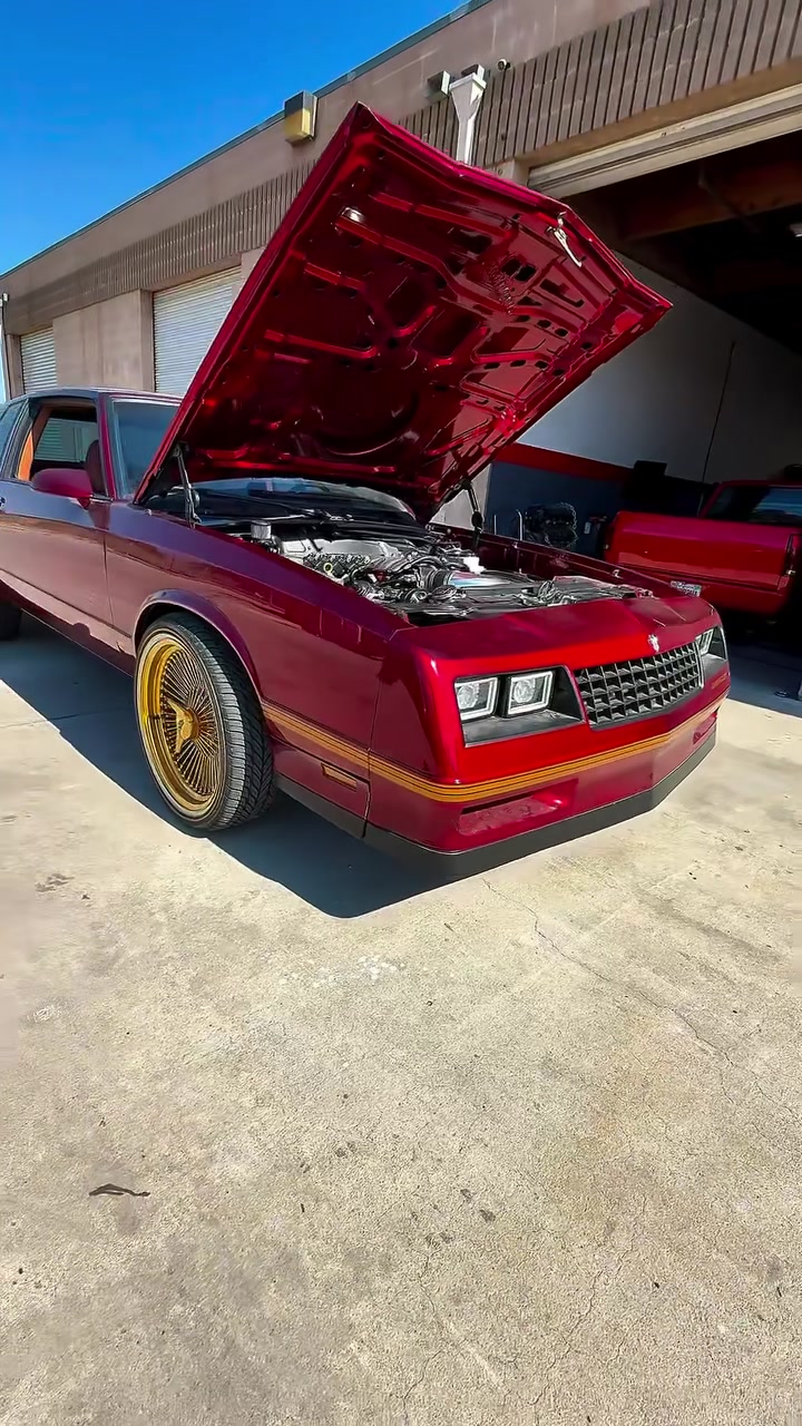 @Onlygbodyfans🏁