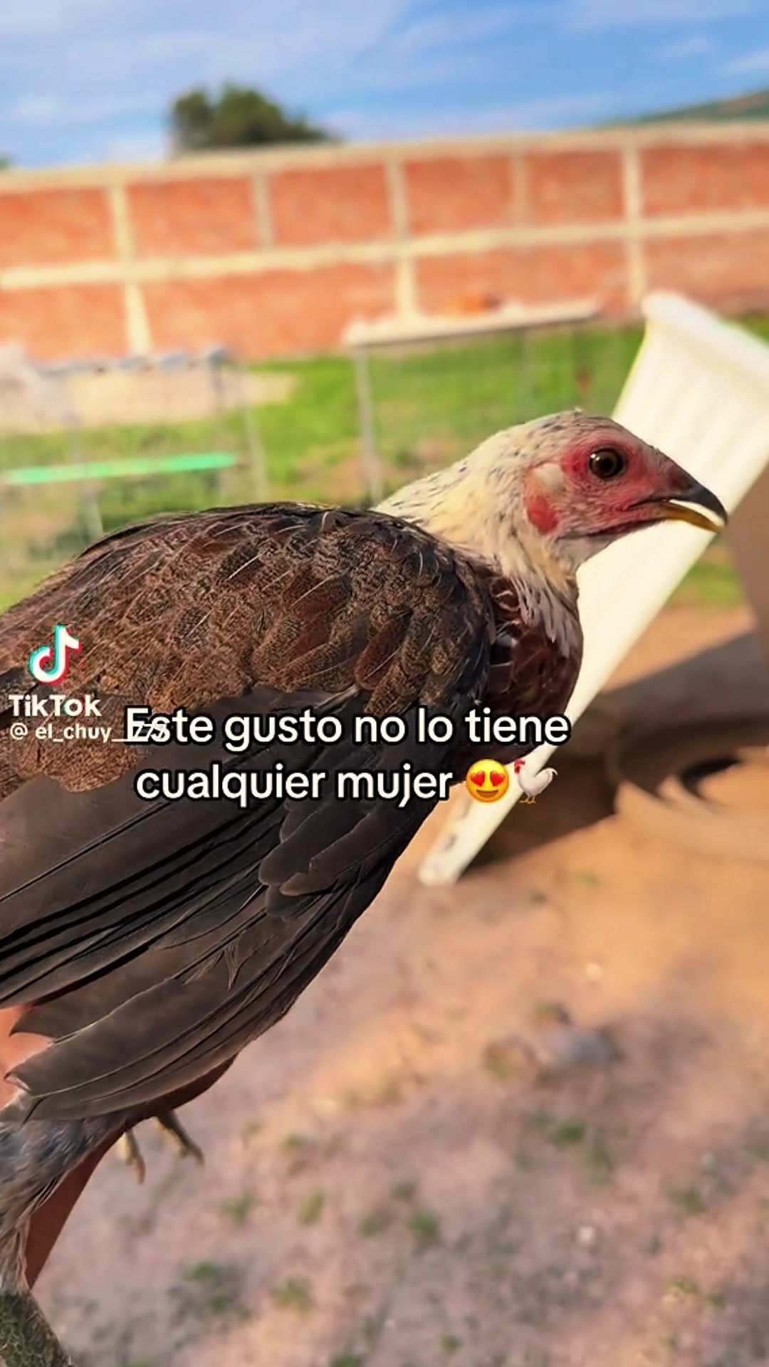 @Raquel Acosta