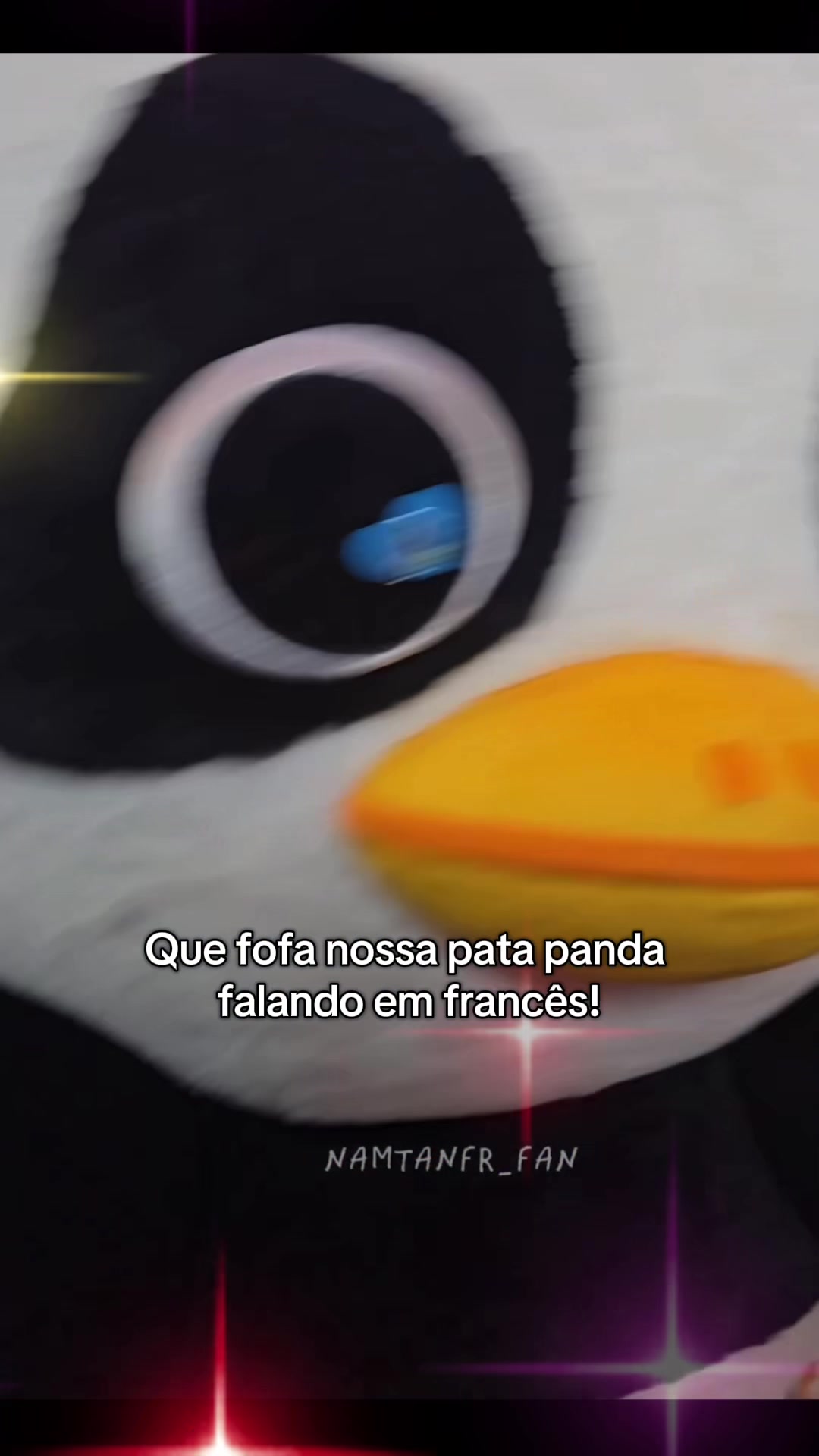@Luna in the box