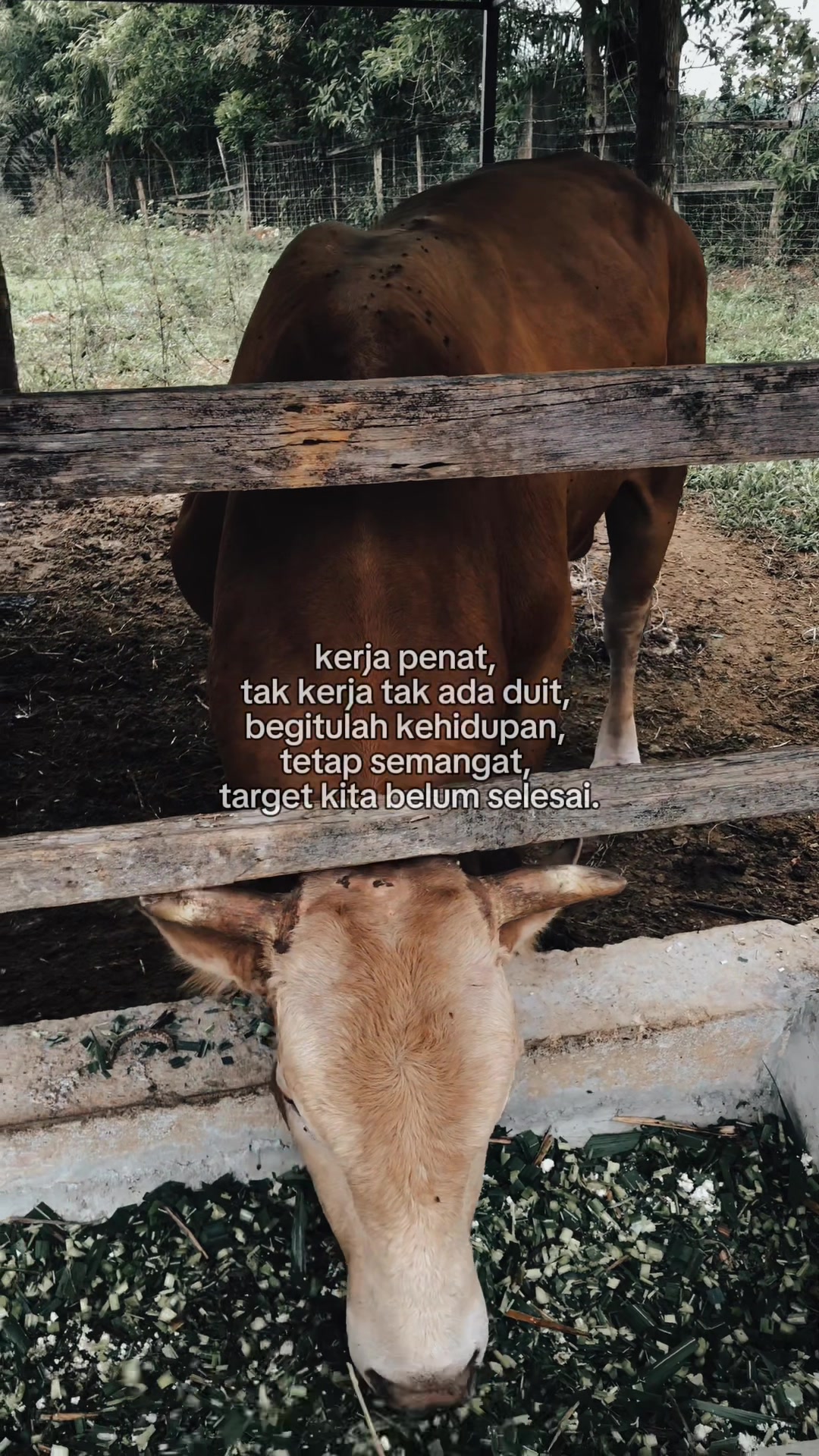 @ʷᵃⁿ 🎭