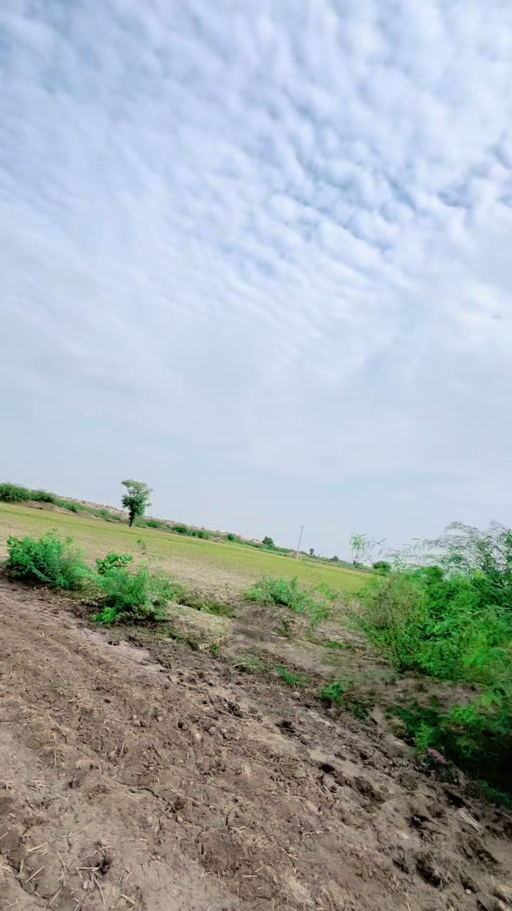 @Haji Sarfaraz Khan Mahar