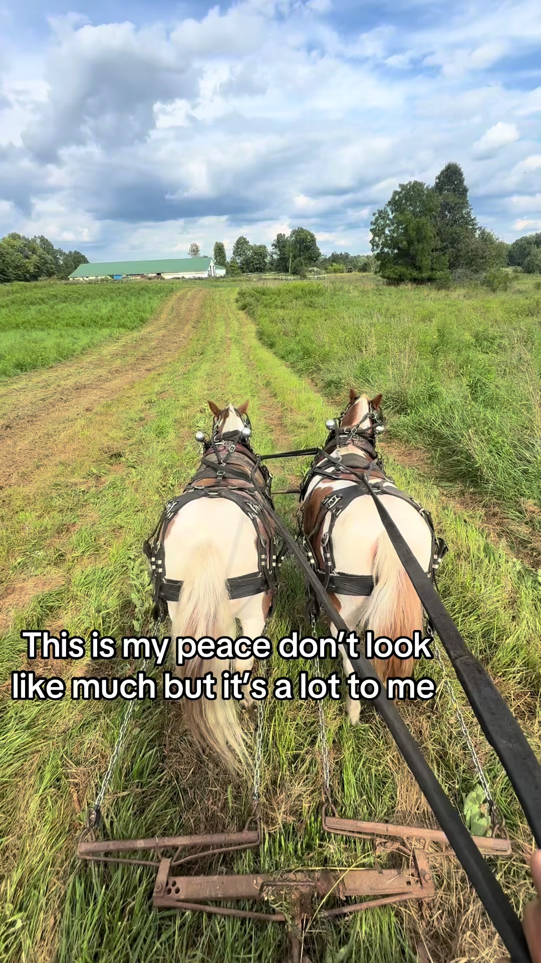 @cj