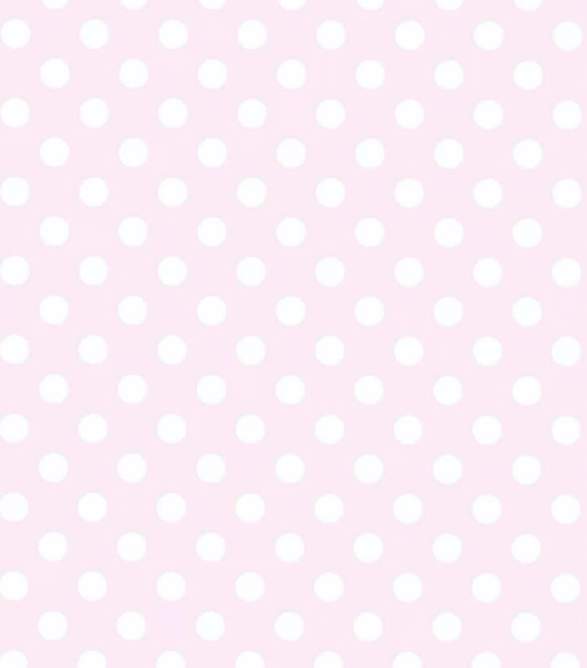 @꒰ঌ໒꒱ ˚₊ ℳ𝒾𝓈ℴ ₊˚🪽ෆ