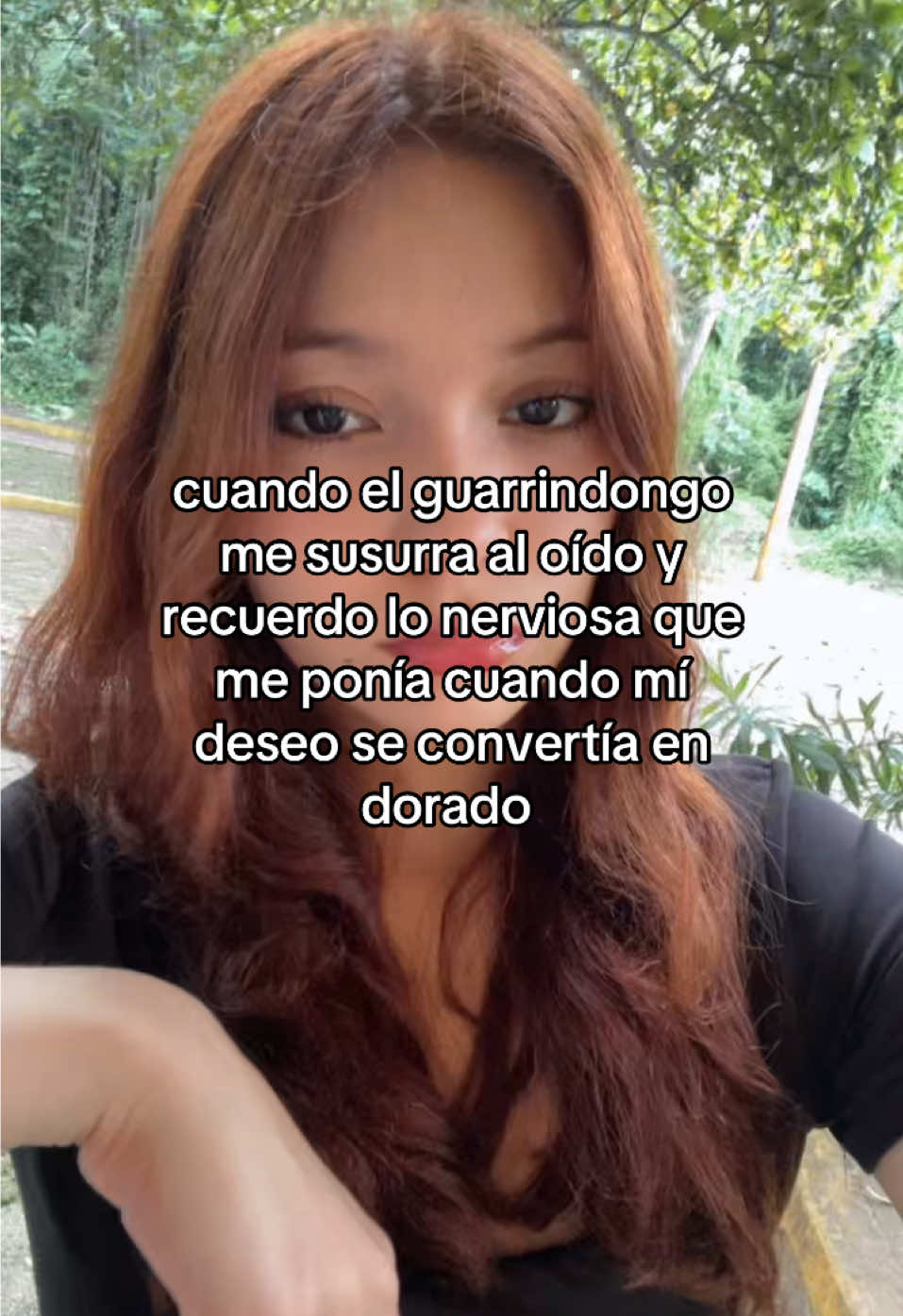 @milanesa