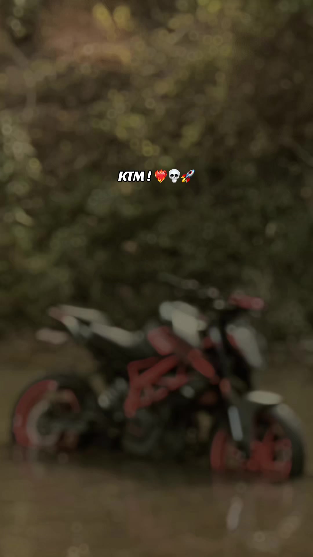 @ＴＯＲＱＵＥ_２５０ 💀