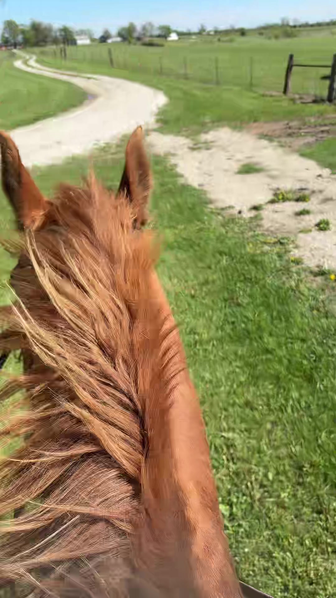 @That one horse girl