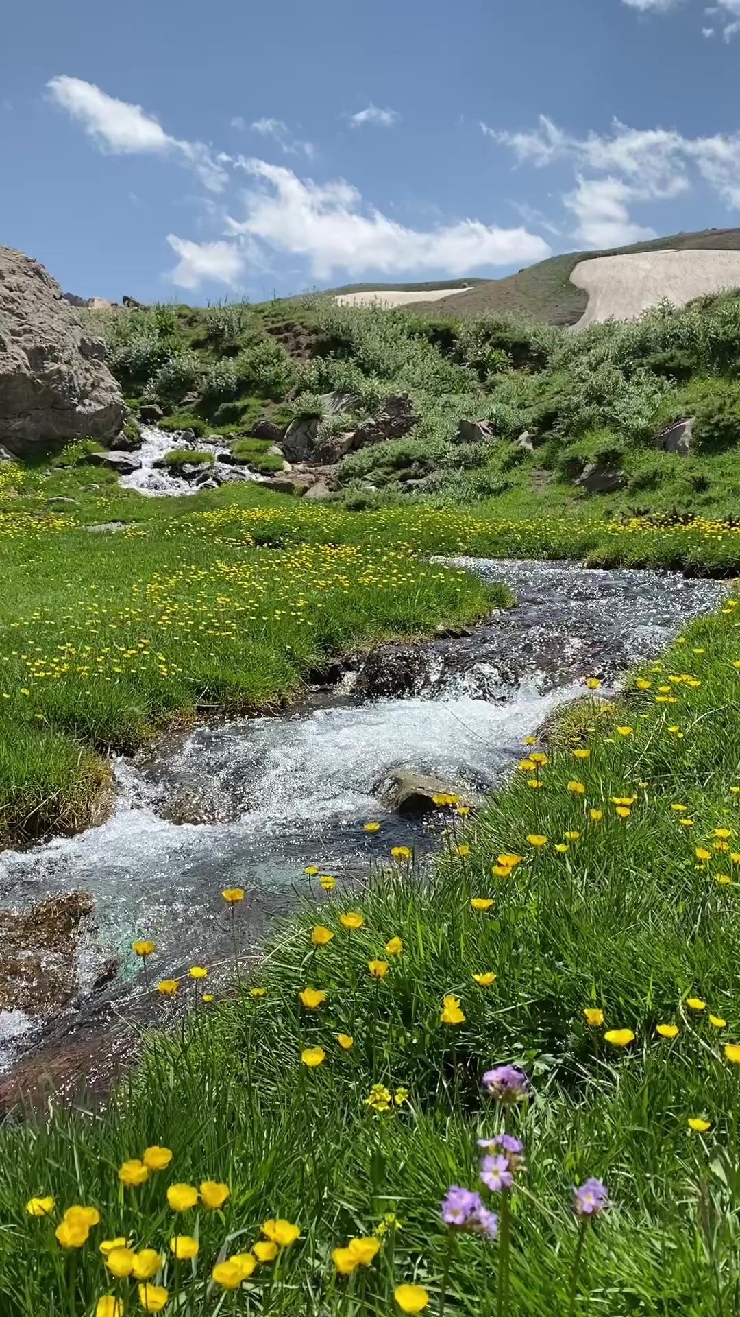 @Hakkâri TV