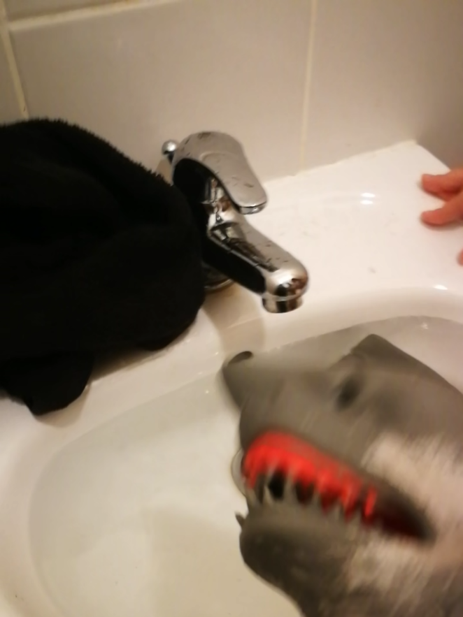 @shark puppet cheese