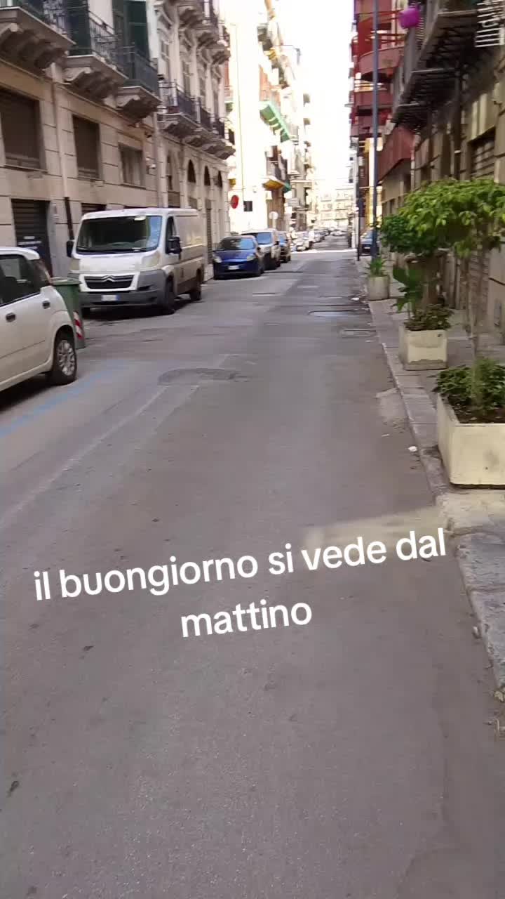 @vincenzocampo918