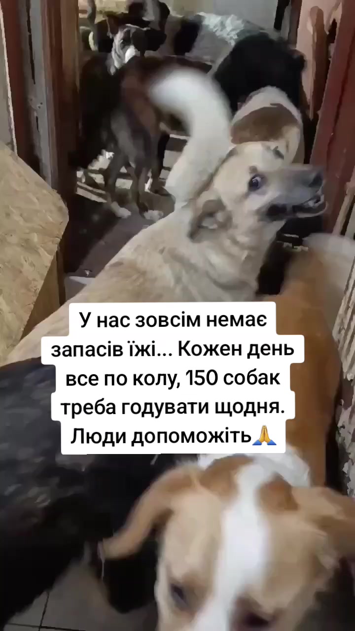 @tvarinkidobra