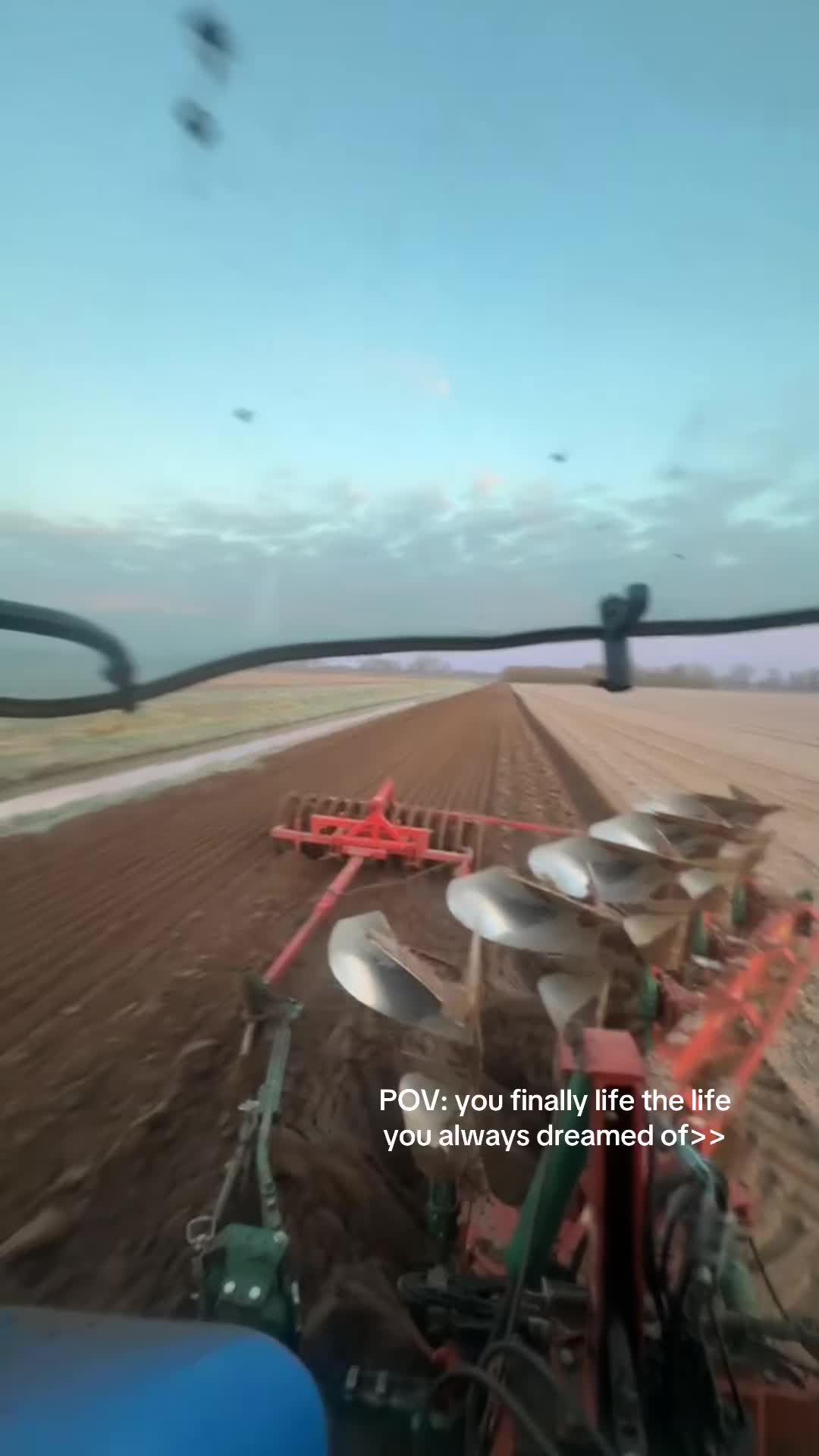 @Jordi🦅