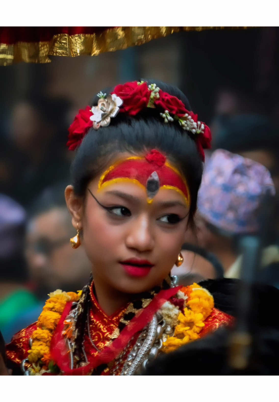@झी नेवा पी