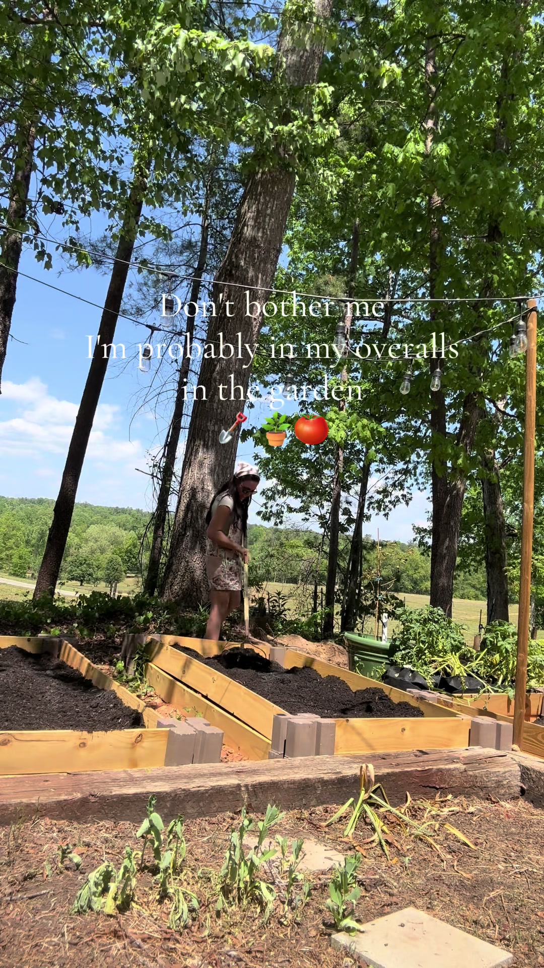 @Heavenly_Homestead