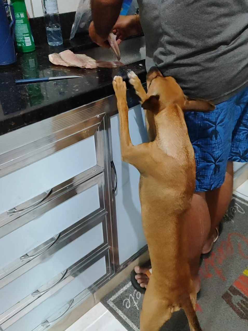 @Belinha e tiamara