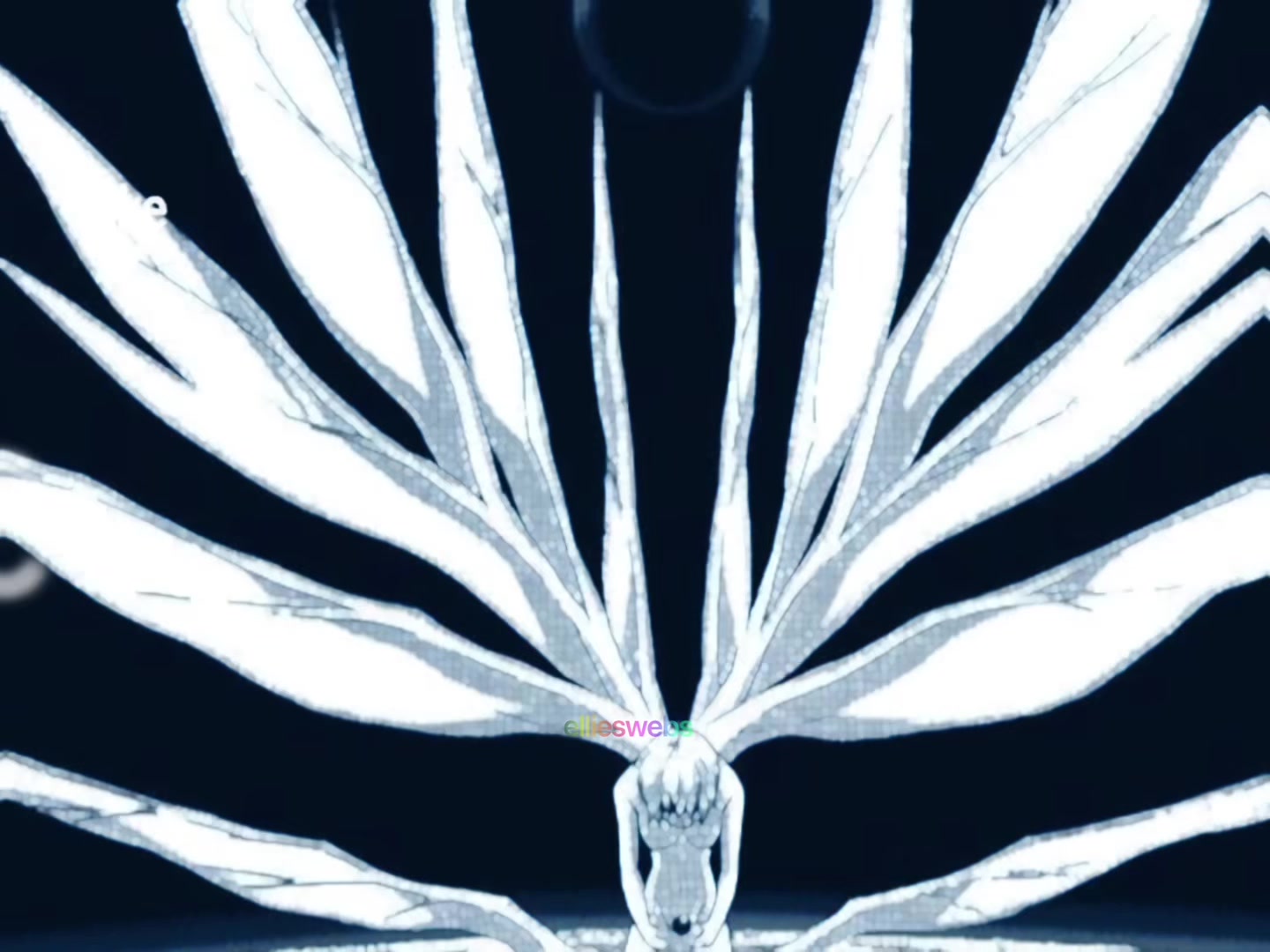 @Webs ᖭི༏ᖫྀ