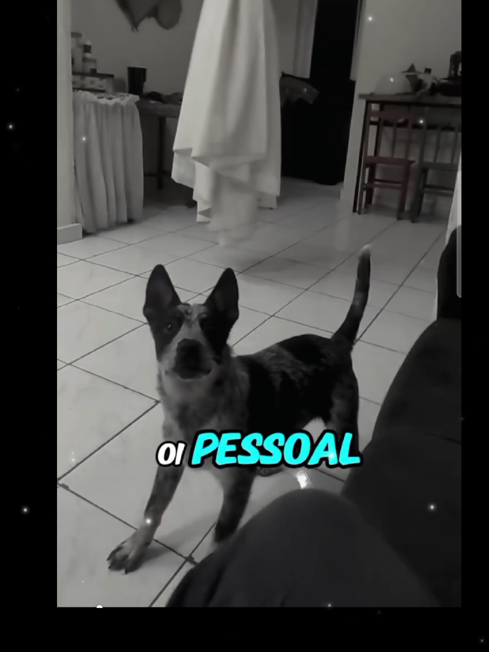@NeyMareSol