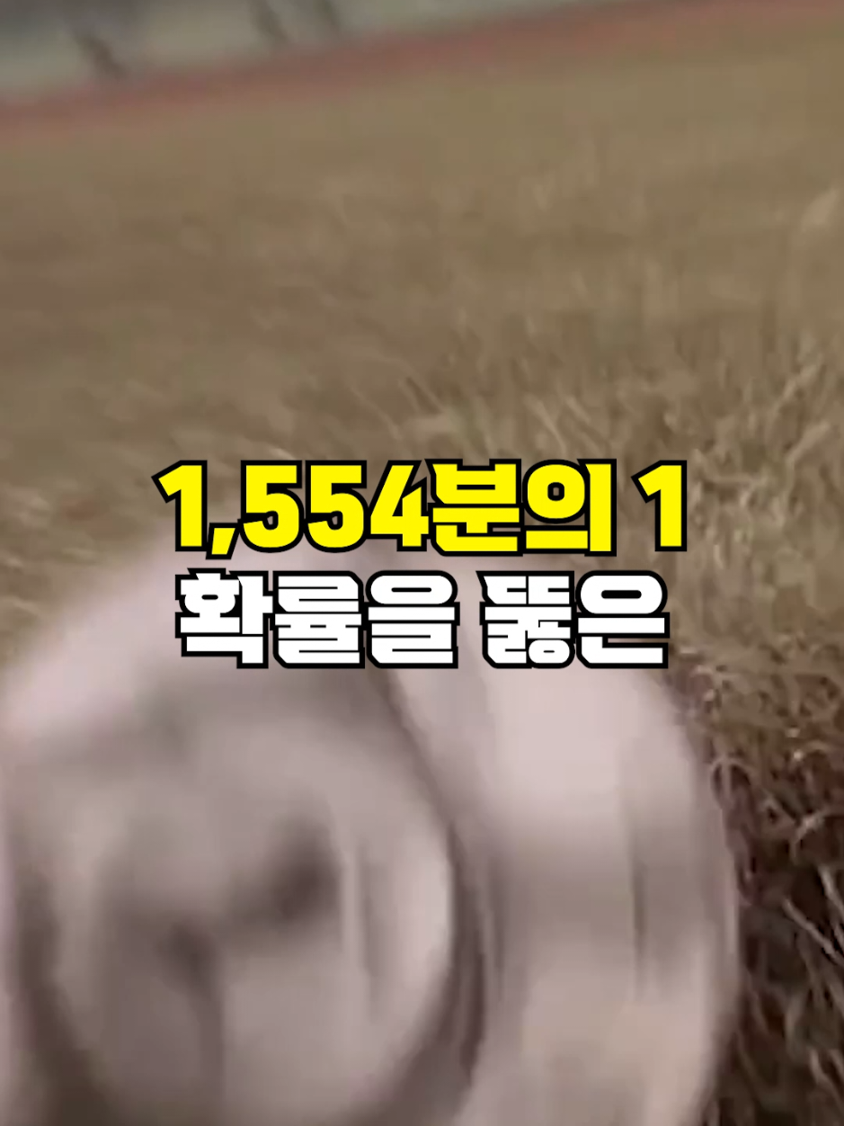 @뚝딱 상식 뚝배기