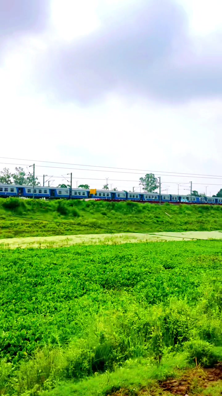 @Tajuddin Sk