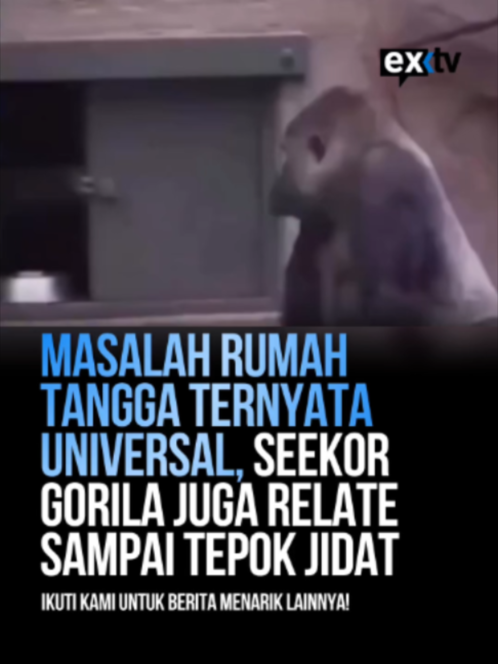 @Expressi Media