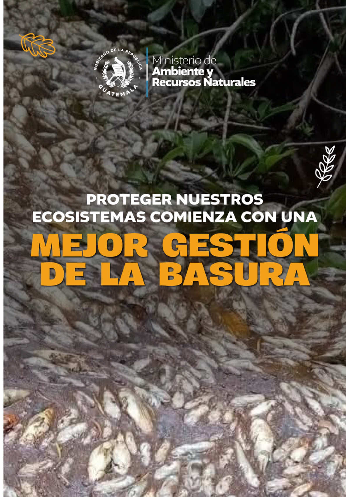 @Ministerio de Ambiente GT