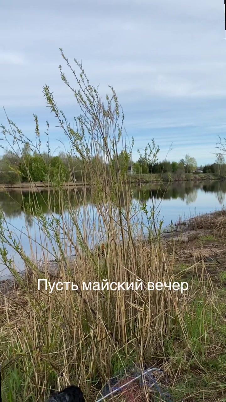@Ирина
