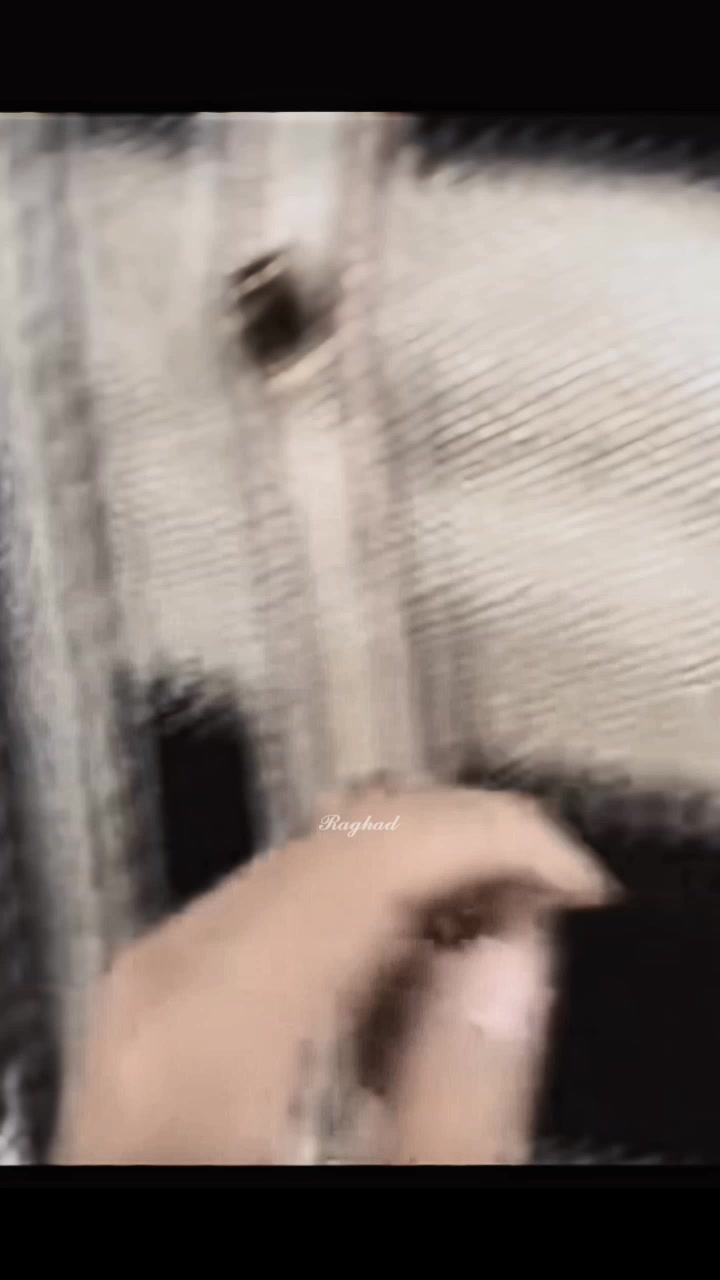 @๐ก๐ช๐ฐ๐ฑ๐ช๐ญ
