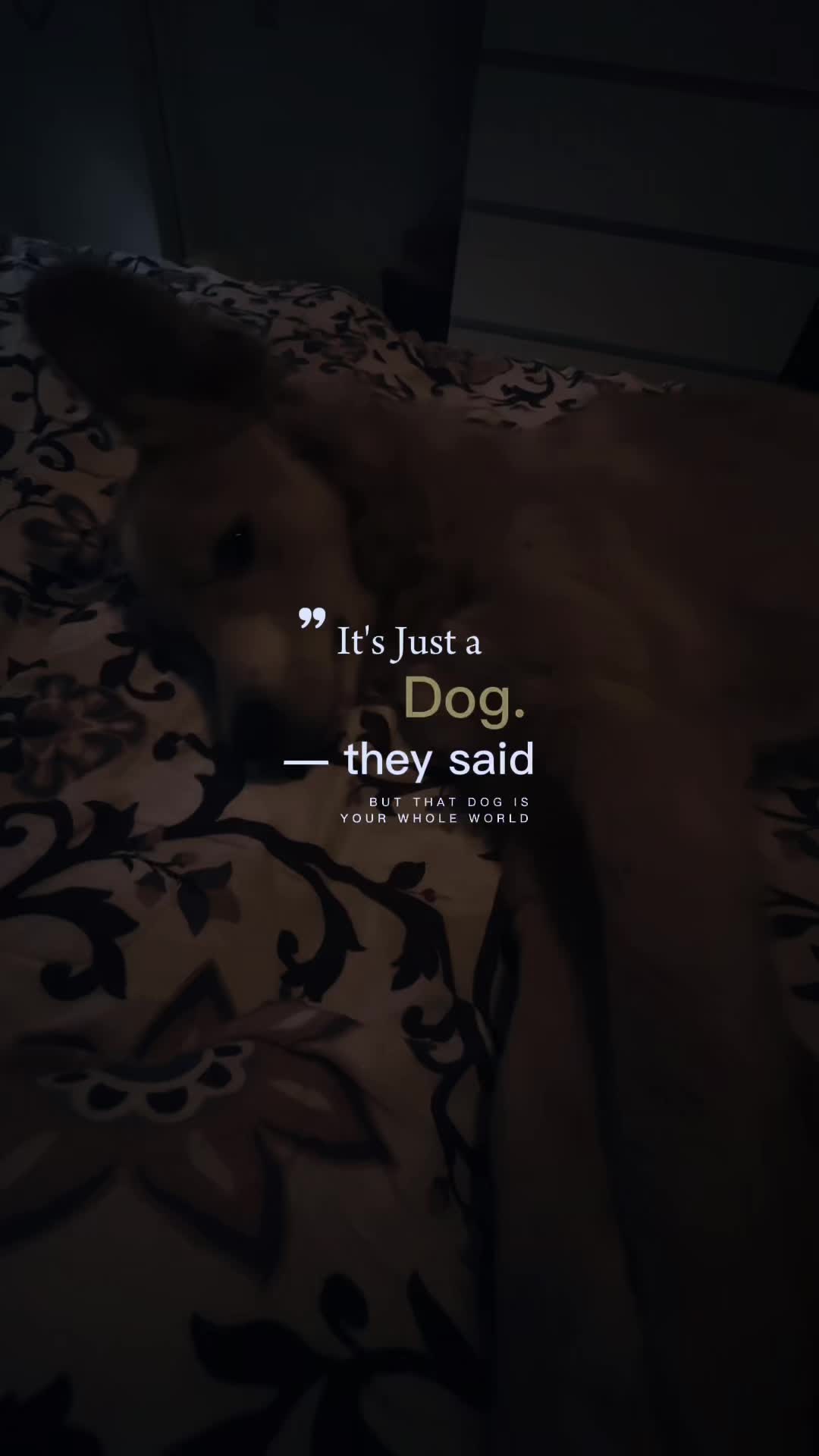 @๐๐๐น๐