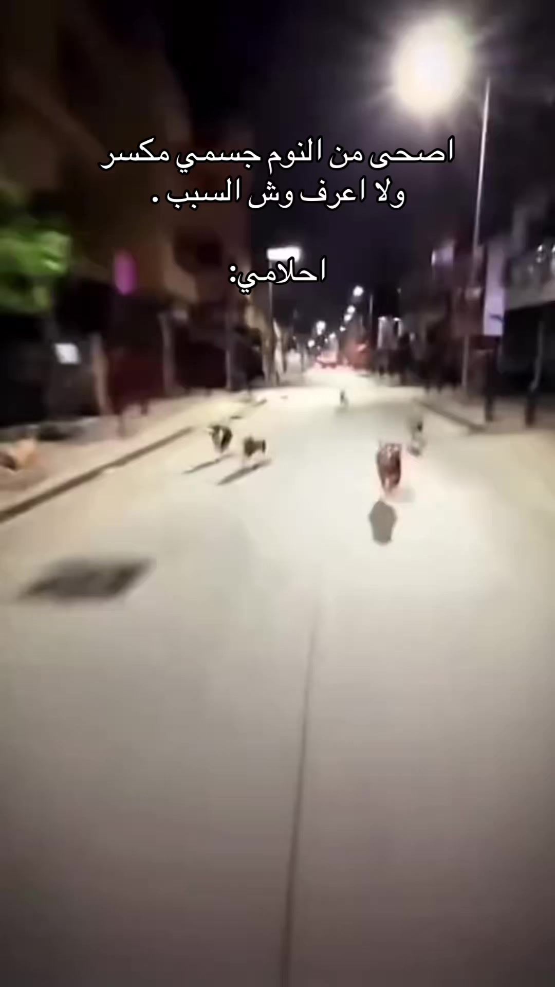 @عبدالله بن سالم